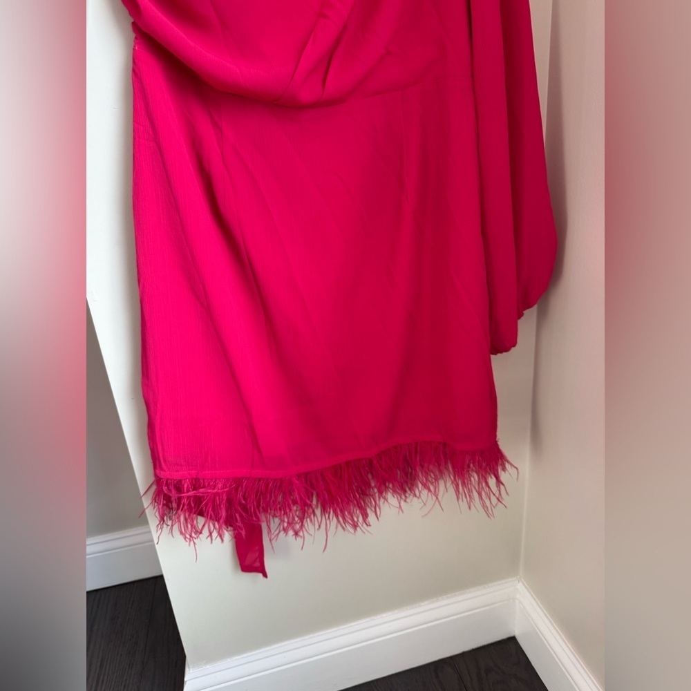 Vici Las Vegas One Shoulder Fringe Trim Pink Mini Dress XL - Picture 11 of 12